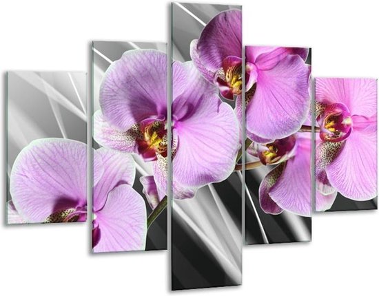 Glasschilderij -  Orchidee - Paars, Grijs - 100x70cm 5Luik - Geen Acrylglas Schilderij - GroepArt 6000+ Glasschilderijen Collectie - Wanddecoratie- Foto Op Glas