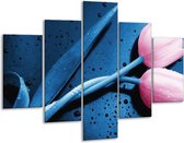 Peinture sur verre tulipe | Rose, Bleu | 100x70cm 5Liège | Tirage photo sur verre |  F003826