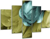 Glasschilderij -  Tulp - Blauw, Zwart, Groen - 100x70cm 5Luik - Geen Acrylglas Schilderij - GroepArt 6000+ Glasschilderijen Collectie - Wanddecoratie- Foto Op Glas