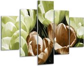 Peinture sur verre Crocus | Vert, marron, blanc | 100x70cm 5Liège | Tirage photo sur verre |  F002542