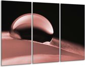 Glasschilderij Macro - Bruin, Rood - 120x80cm 3Luik - Foto Op Glas - Geen Acrylglas Schilderij - GroepArt 6000+ Glas Art Collectie - Maatwerk Mogelijk