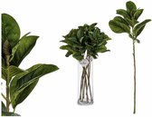 Decoratieve plant Lakens Plastic (80 cm)