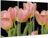 Glasschilderij Tulpen - Roze, Groen, Zwart - 120x80cm 3Luik - Foto Op Glas - Geen Acrylglas Schilderij - GroepArt 6000+ Glas Art Collectie - Maatwerk Mogelijk