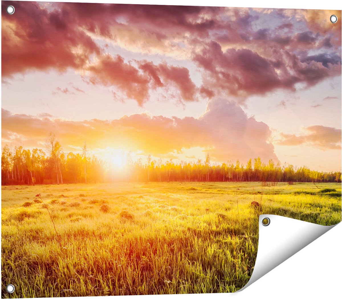 Gards Tuinposter Zonsopkomst in het Veld - 80x60 cm - Tuindoek - Tuindecoratie - Wanddecoratie buiten - Tuinschilderij Multikleur