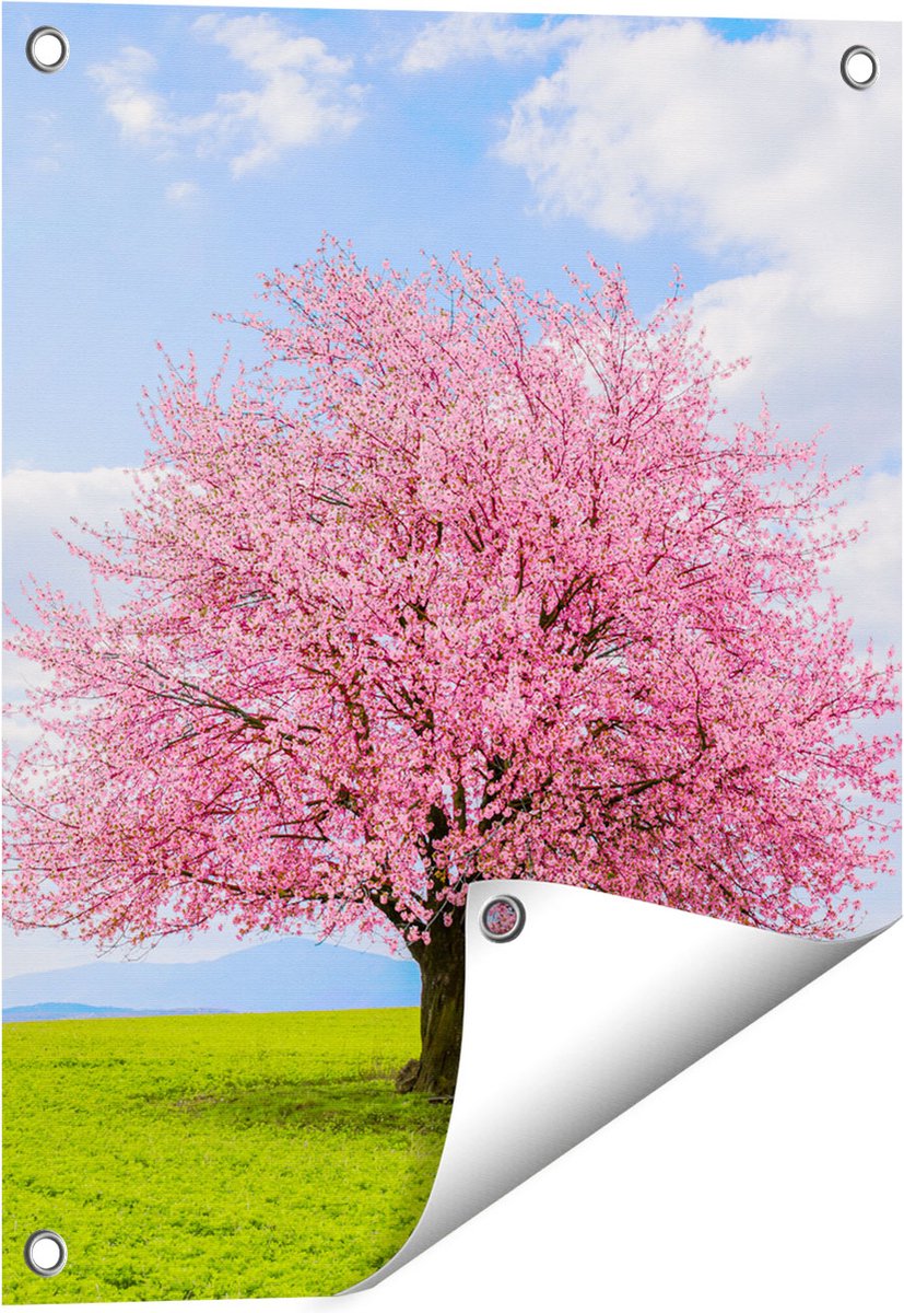 Gards Tuinposter Roze Sakura Bloesem Boom in het Groene Veld - 40x50 cm - Tuindoek - Tuindecoratie - Wanddecoratie buiten - Tuinschilderij Multikleur