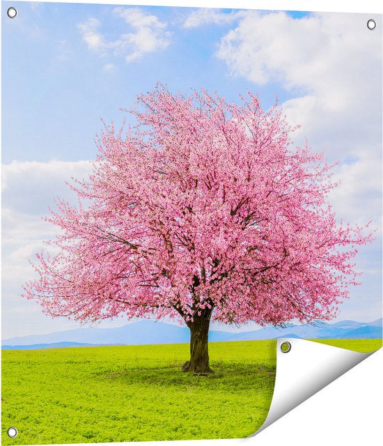 Gards Tuinposter Roze Sakura Bloesem Boom in het Groene Veld - 70x70 cm - Tuindoek - Tuindecoratie - Wanddecoratie buiten - Tuinschilderij