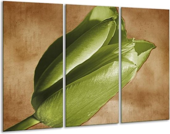 Glasschilderij Tulp - Groen, Bruin, Zwart - 120x80cm 3Luik - Foto Op Glas - Geen Acrylglas Schilderij - GroepArt 6000+ Glas Art Collectie - Maatwerk Mogelijk