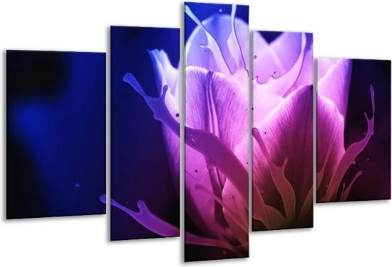 Peinture sur verre tulipe | Bleu, violet, rose | 170x100cm 5 Liège | Tirage photo sur verre |  F004176