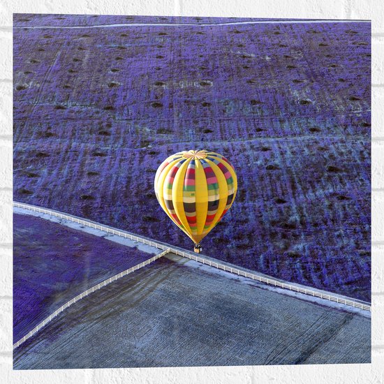 Muursticker - Gele Luchtballon met Kleurrijke Strepen boven Paarse Bloemenvelden - 50x50 cm Foto op Muursticker