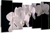 GroepArt - Canvas Schilderij - Orchidee - Wit, Zwart - 150x80cm 5Luik- Groot Collectie Schilderijen Op Canvas En Wanddecoraties