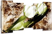 GroepArt - Canvas Schilderij - Tulpen - Groen, Bruin, Wit - 150x80cm 5Luik- Groot Collectie Schilderijen Op Canvas En Wanddecoraties