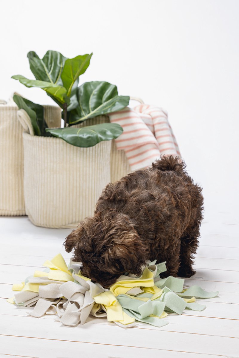 Beeztees Puppy Sniffy Snuffelmat - Puppy Speelgoed thumbnail 2