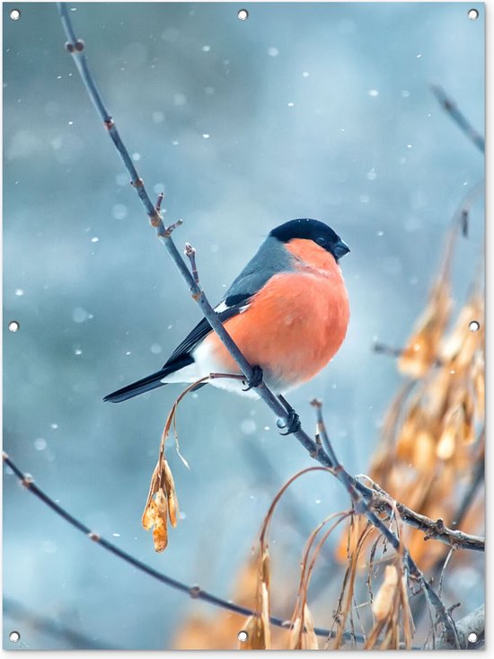 Affiche de jardin - Vogel - Rouge-gorge - Branches - Feuilles - Hiver - Or - 90x120 cm - Posters de jardin - Décoration murale - Décoration de jardin