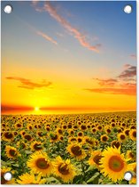 Tuinposter bloemen - Tuindecoratie zonnebloem geel - 30x40 cm - Tuinschilderij voor buiten - Tuindoek zonsondergang - Wanddecoratie - Schuttingdoek natuur - Balkon decoratie - Muurdecoratie bloemenveld - Buitenschilderijen voor in de tuin