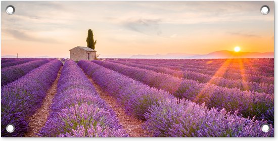 Tuinposter 'Raamkozijn lavendel veld' - Teun's Tuinposters