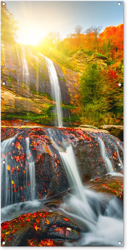 Poster met Lijst - 30x20 cm - Herfstbladeren - Herfst - Seizoenen - Natuur