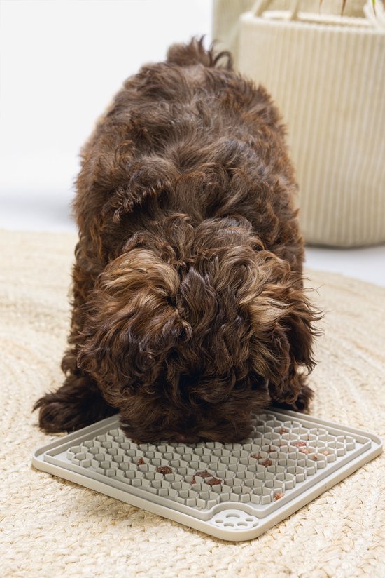 Beeztees Puppy Lick Mat Diza - Jouet pour Chien - Caoutchouc - Grijs - 20x20 cm