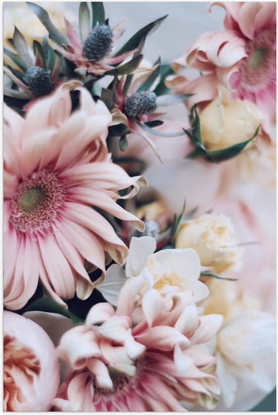 Poster Glanzend – Roze met Witte Bloemen van Dichtbij - 70x105 cm Foto op Posterpapier met Glanzende Afwerking