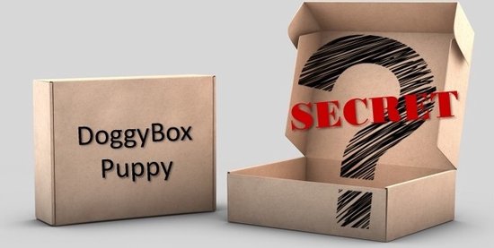 DoggyBox Puppy