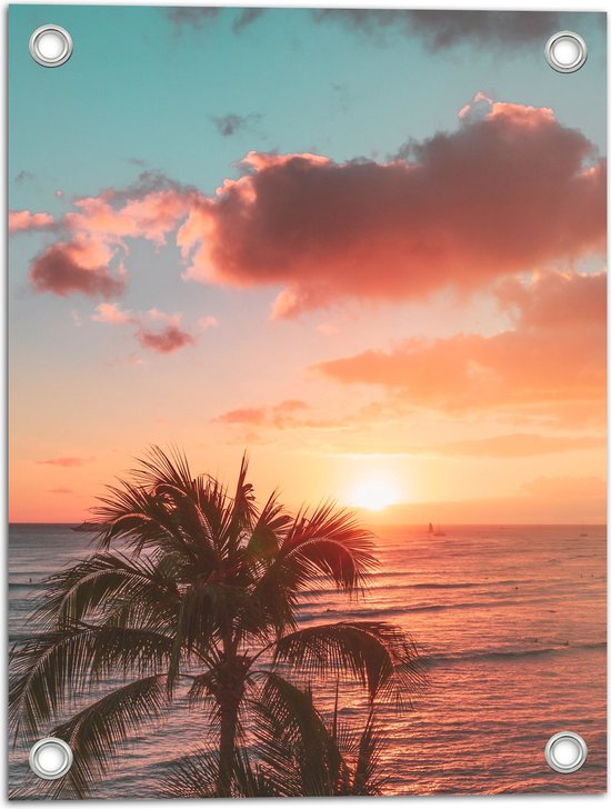 Tuinposter – Palmboom en Zee bij de Zonsondergang - 30x40 cm Foto op Tuinposter (wanddecoratie voor buiten en binnen)