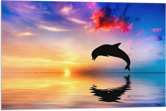 WallClassics - Vlag - Zonsondergang bij Silhouet van Dolfijn boven Water in Kleurrijke Omgeving - 75x50 cm Foto op Polyester Vlag