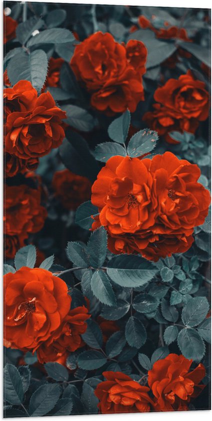 WallClassics - Drapeau - Fleurs pleines rouges dans un buisson vert foncé - Photo 50x100 cm sur drapeau en polyester