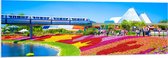 WallClassics - PVC Schuimplaat - Kleurrijk Bloemenveld in Park - 150x50 cm Foto op PVC Schuimplaat (Met Ophangsysteem)