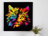 Fiery feline fireworks | Fiery Feline Fireworks | Kunst - 40x40 centimeter op Canvas | Foto op Canvas - wanddecoratie schilderij