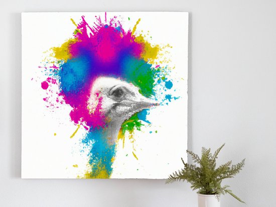 Ostrich swagger | Ostrich Swagger | Kunst - 40x40 centimeter op Canvas | Foto op Canvas - wanddecoratie schilderij