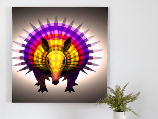 Vibrant Armadillo Burst kunst - 60x60 centimeter op Canvas | Foto op Canvas - wanddecoratie