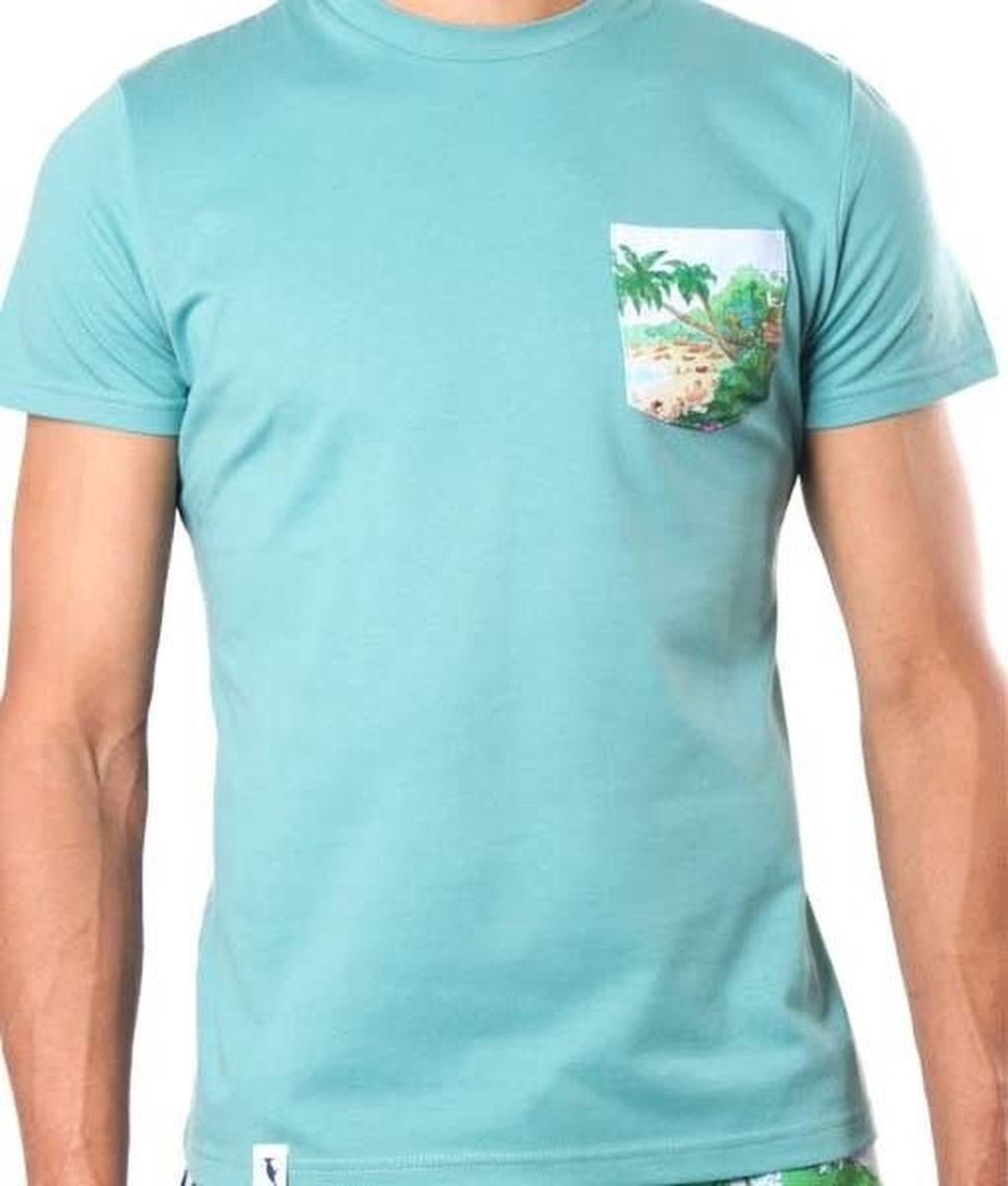 T-shirt Heren Sanwin - Zeegroen - Maat M