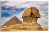 Dibond - Sfinx met op de Achtergrond een Piramide in Egypte - 60x40 cm Foto op Aluminium (Wanddecoratie van metaal)