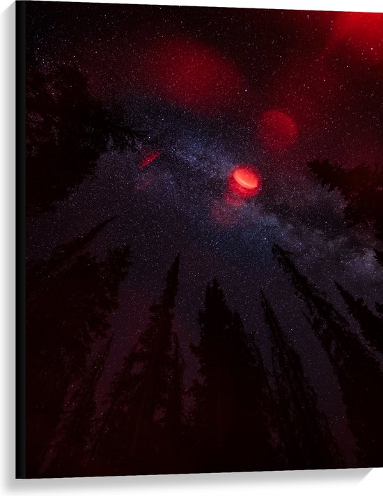 WallClassics - Canvas - Rood Licht met Sterrenhemel boven Donkere Hoge Bomen - 75x100 cm Foto op Canvas Schilderij (Wanddecoratie op Canvas)