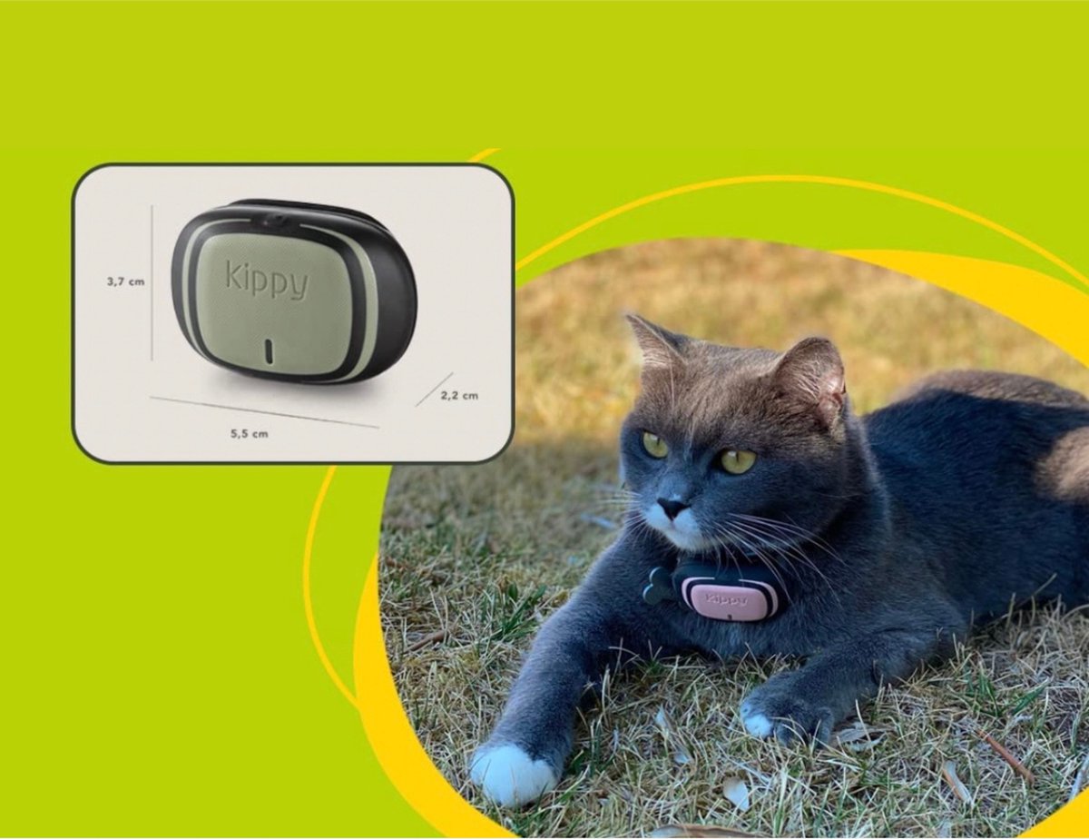 Kippy GPS Tracker Kat GPS Tracker Hond Activiteitentracker Bruin