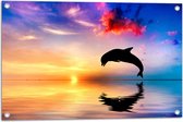 WallClassics - Tuinposter – Zonsondergang bij Silhouet van Dolfijn boven Water in Kleurrijke Omgeving - 75x50 cm Foto op Tuinposter (wanddecoratie voor buiten en binnen)