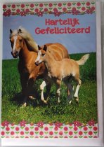 Hartelijk gefeliciteerd met je verjaardag! Een vrolijke kaart met twee paarden in het gras. Erg leuk om aan mensen te geven die van paarden houden. Een dubbele wenskaart inclusief envelop en in folie verpakt.
