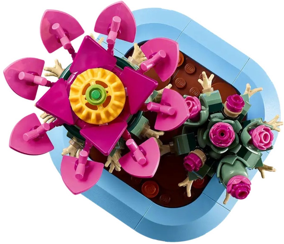 LEGO Botanicals Bloeiende Cactus - Planten Decoratie Set - 11509 — afbeelding 18