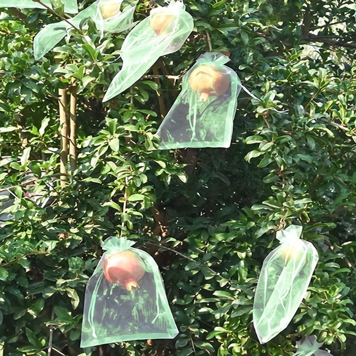 100 fruitbeschermende zakjes, fruitnetzakjes met trekkoord, fruithoezen voor in de tuin, plantenbeschermende netzakjes (17 x 23 cm)