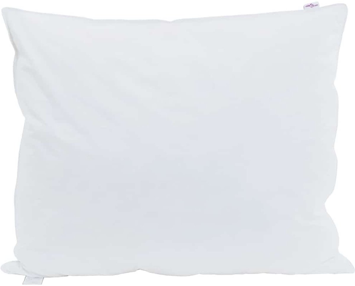 Hoofdkussen met kussen 2 st | Beddengoed Wit 60 x 70 cm Veren