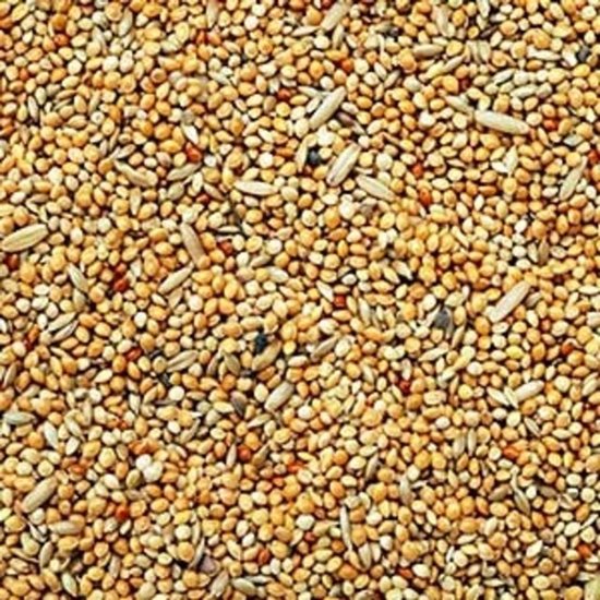Een close-up van vogelzaad met verschillende zaden, waaronder millet en panicum.
