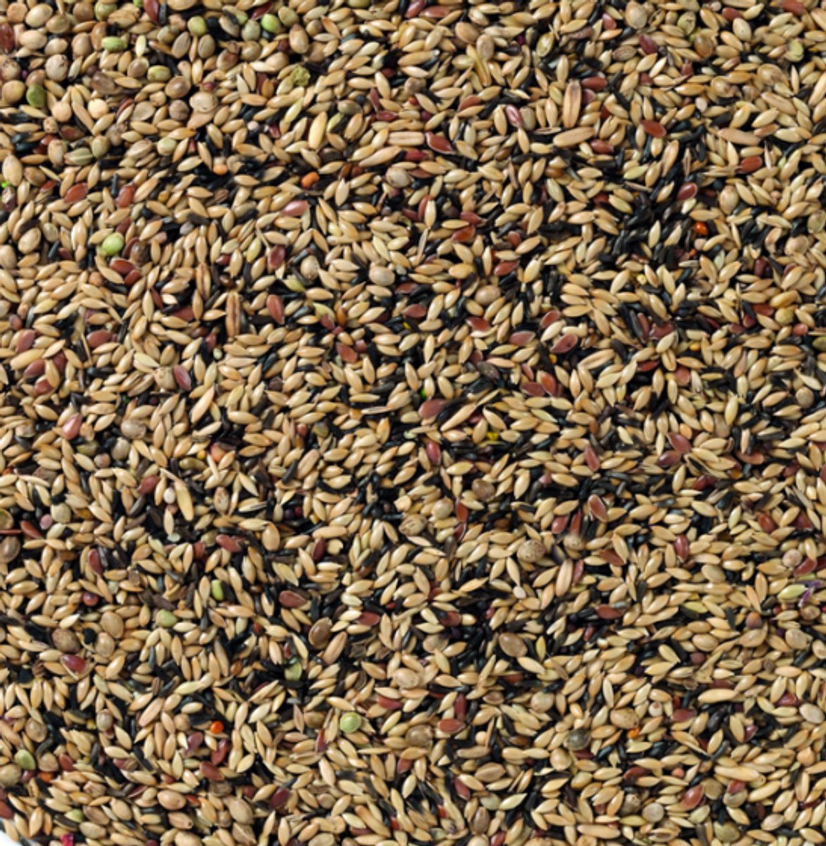 Deli nature kanarie zonder raapzaad nr80 - 2,5 kg
