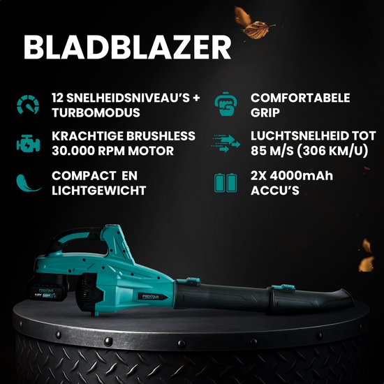 ProXtar Accu Bladblazer - Lichtgewicht en Krachtig - Compact en Draadloos - Inclusief Oplader en 2× 4000 mAh Accu’s van Merkloos	 — afbeelding 2