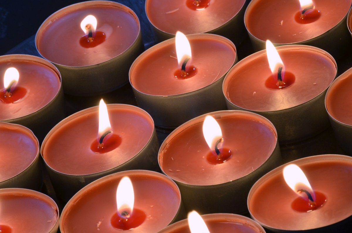 16 stuks Kaneel Stokjes- geurkaarsen - WAXINE Lichten Candles by Milanne