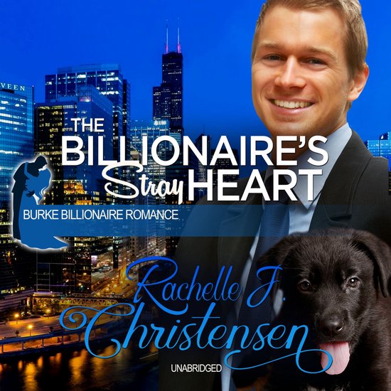 The Billionaire’s Stray Heart - cover