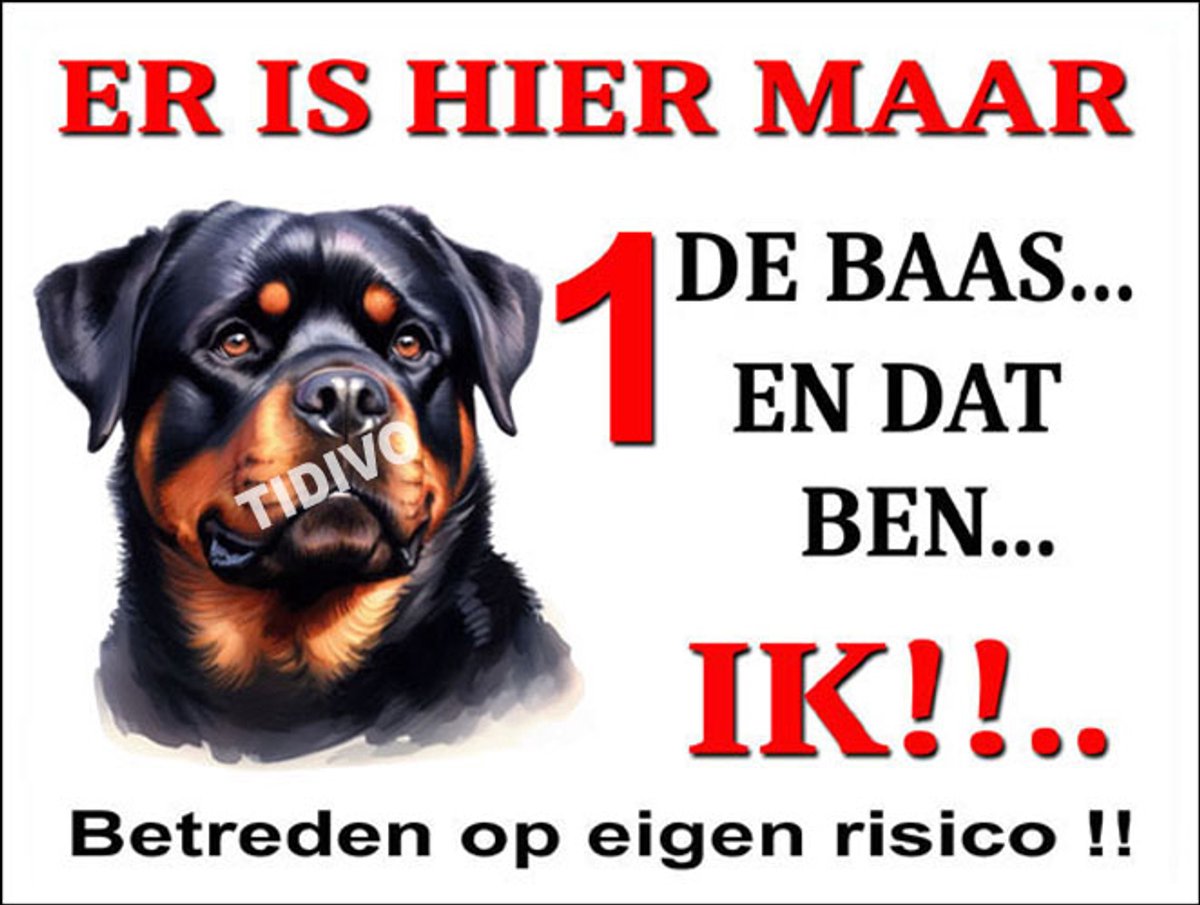 Rottweiler 26