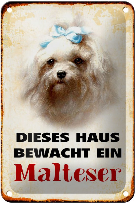 Melis-Folienwerkstatt Schild „Anleinpflicht Für Hunde“ – 15x10 Cm, 3mm Hartschaum, Wetterfest, Made In Germany