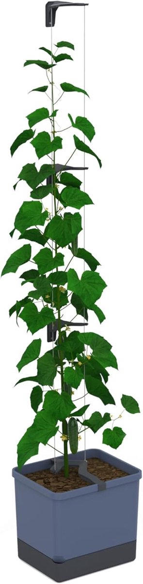 GUSTA GARDEN Curt Cucumber - Zelfbewaterende komkommerpot met trellissysteem, 20L grondvolume & 4,5L watertank, klimhulp, komkommers, UV-gestabiliseerd, Gemaakt in de EU