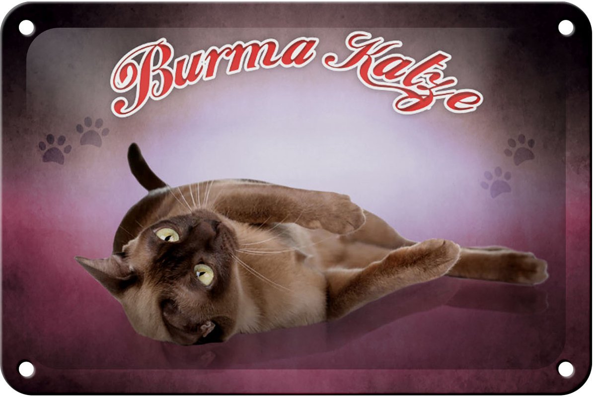 Blechschild Katze 18x12cm Burma Katze
