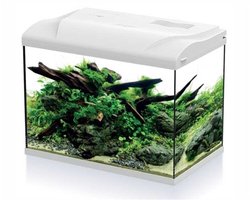 HS Aqua Aquarium Platy 50 LED | 50L | 49 X 31 X 38CM Wit Compleet