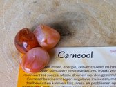 Carneool Trommelsteen, edelstenen - Perfect cadeau voor vrouwen- Inclusief uitleg - Spiritueel - Carnelian - Positieve keuzes - Zelfvertrouwen - Doelbewust - Stress - Slapen - 100% NATUURLIJK